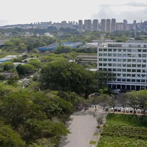 Mais de 230 professores da USP estão entre os melhores cientistas do mundo