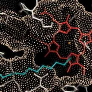 Nova enzima pode impulsionar a produção sustentável de combustível para aviação