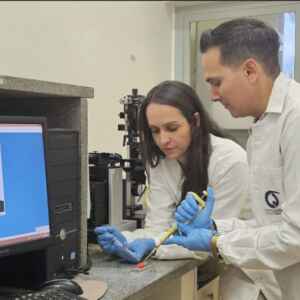 Biomaterial feito de colágeno e açúcar de algas se mostra capaz de estimular a regeneração óssea