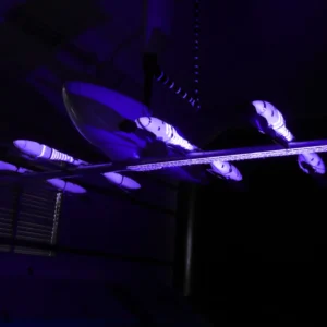 Embraer anuncia primeira fábrica de carros voadores no Brasil