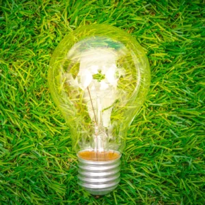 Parceria entre a USP e Universidade Nova de Lisboa promove conferência sobre sustentabilidade