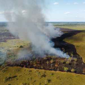 ICMBio realiza queimas prescritas no Cerrado e Amazônia para prevenir grandes incêndios