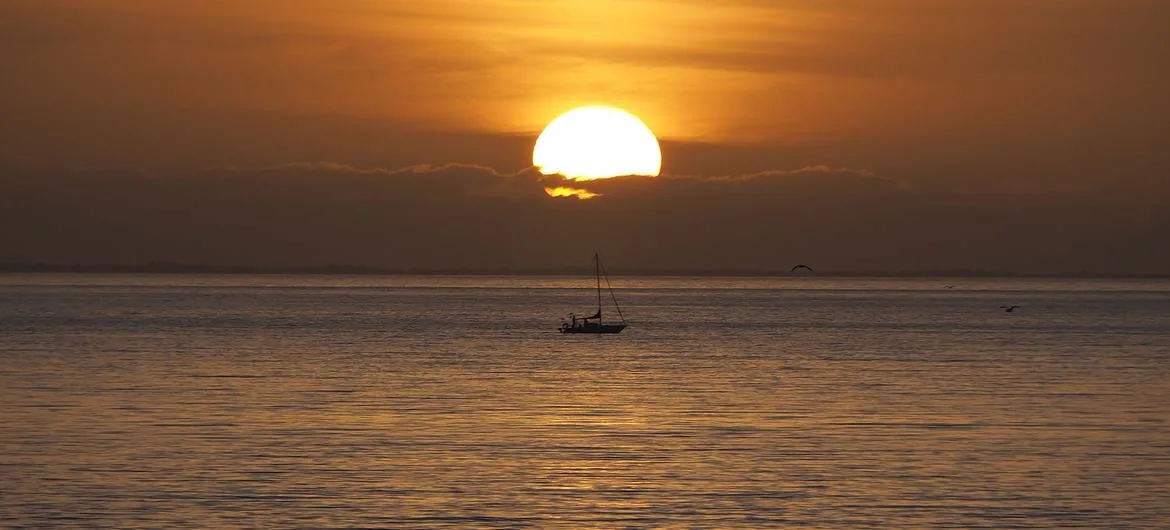 Recorde de temperatura em várias partes do globo gera alertas sobre ameaças à saúde Recorde de temperatura em várias partes do globo gera alertas sobre ameaças à saúde