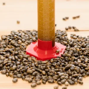 Pesquisadora cria adesivo sustentável à base de semente de mamona