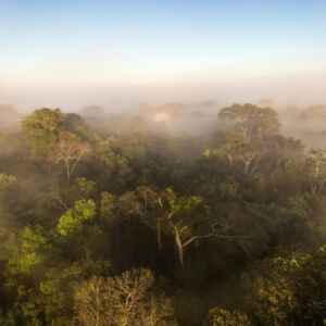 UM ANO DE EXPEDIÇÃO PERPETUAL PLANET AMAZÔNIA DA ROLEX E NATIONAL GEOGRAPHIC