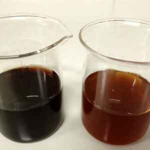 Estudo descobre propriedades antioxidantes e anti-inflamatórias em resíduo industrial de inajá e de açaí