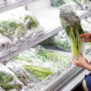 Salada pronta pré-higienizada pode conter bactérias causadoras de doenças, aponta artigo