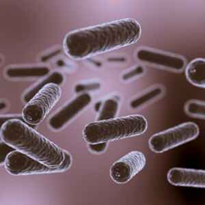 Estudo desvenda como os compostos fenólicos de plantas inibem a comunicação bacteriana