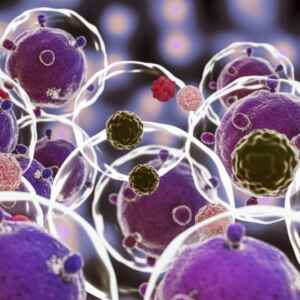 Terapias celulares podem reduzir em 60% o risco de morte por COVID-19, aponta estudo