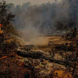 Em 2020, grandes incêndios queimaram 30% da área do Pantanal