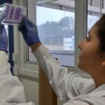 Composto combate bactérias resistentes em menos de uma hora