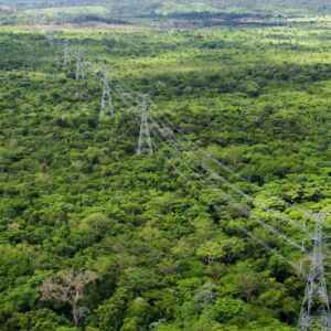 Governo retoma Luz para Todos e interliga municípios do Norte ao sistema elétrico