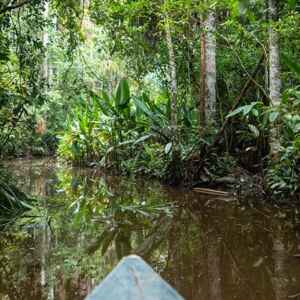 PERPETUAL PLANET : A JORNADA DA ROLEX E NATIONAL GEOGRAPHIC