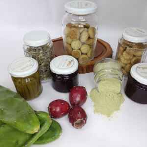 Projeto do Insa transforma cacto cultivado no semiárido em doces e geleias