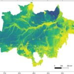 Novo mapa da biomassa da Amazônia oferece esperança em meio à crise