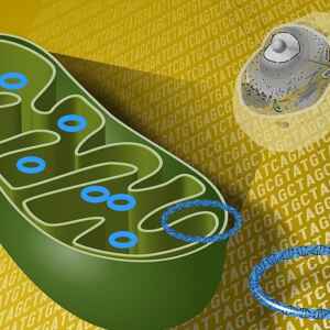 Descoberta Científica Revela Impacto Prolongado da COVID-19 em Diversos Órgãos