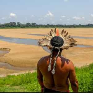 Amazônia em Alerta: Seca Extrema e Impactos Climáticos