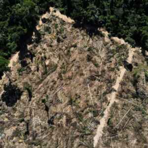 O Brasil e a Luta Contra as Mudanças Climáticas