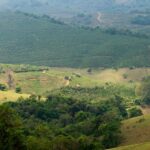 Conectividade transforma a vida de pequenos produtores rurais em Caconde