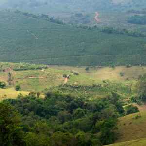 Conectividade transforma a vida de pequenos produtores rurais em Caconde