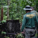 A Justiça e a Proteção Ambiental: Uma Vitória para o Ibama