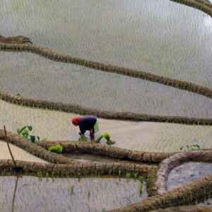 O Papel Crucial da Adaptação às Mudanças Climáticas