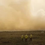 Preparação Brasileira para a COP 28: Encontro Destaca Planos Ambientais