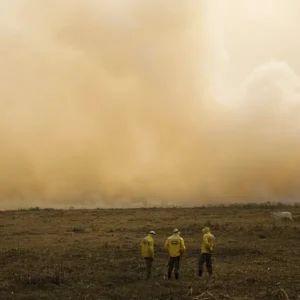 Preparação Brasileira para a COP 28: Encontro Destaca Planos Ambientais