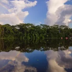 Estudo comprova que criar áreas protegidas diminui fogo na Amazônia