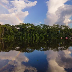 Estudo comprova que criar áreas protegidas diminui fogo na Amazônia