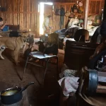 A Luta Silenciosa dos Defensores dos Direitos Humanos no Brasil