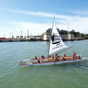 Educação Ambiental e a Expedição Vou de Canoa: Uma Jornada de Transformação