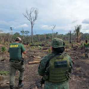 Operação Dríade: Uma Luta Contra o Desmatamento na Amazônia