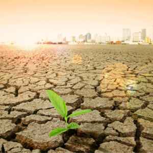 Águas Subterrâneas: A Chave para a Segurança Hídrica