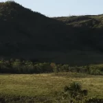 Territórios Quilombolas: Guardiões da Floresta