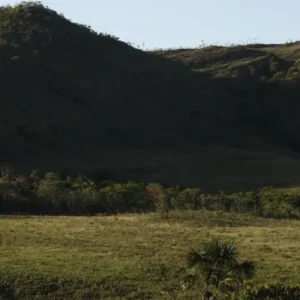 Territórios Quilombolas: Guardiões da Floresta