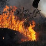 A Crise dos Incêndios e a Vazante Extrema na Amazônia