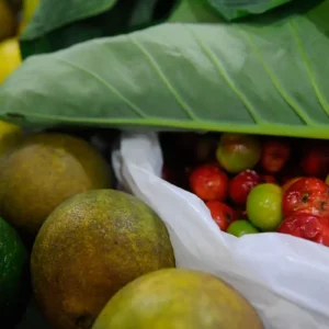 Brasil, o Gigante Mundial dos Agrotóxicos