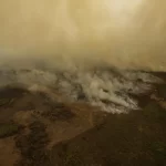 Pesquisa mede emissão de óxido nitroso na Amazônia e no Pantanal