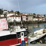A França Lança Proibição Temporária de Pesca para Proteger os Golfinhos