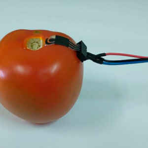 Sensor Sustentável Monitora Agrotóxicos em Vegetais Sensor Sustentável Monitora Agrotóxicos em Vegetais
