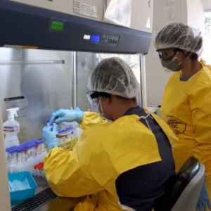 Avançando na Precisão do Diagnóstico da COVID-19 com um Estudo Inovador da USP