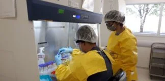 Avançando na Precisão do Diagnóstico da COVID-19 com um Estudo Inovador da USP Avançando na Precisão do Diagnóstico da COVID-19 com um Estudo Inovador da USP