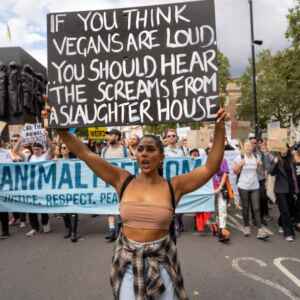 A Desigualdade e a Mudança Climática: Uma Perspectiva Inovadora