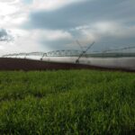 BNDES Oferece Um Impulso ao Setor Agropecuário