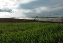 BNDES Oferece Um Impulso ao Setor Agropecuário