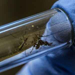 A Malária no Brasil e a Influência da Mudança Climática