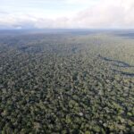 Desmatamento da Amazônia ligado ao aquecimento climático de longa distância