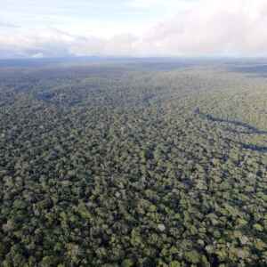 Desmatamento da Amazônia ligado ao aquecimento climático de longa distância