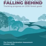 As florestas são vitais para proteger o clima